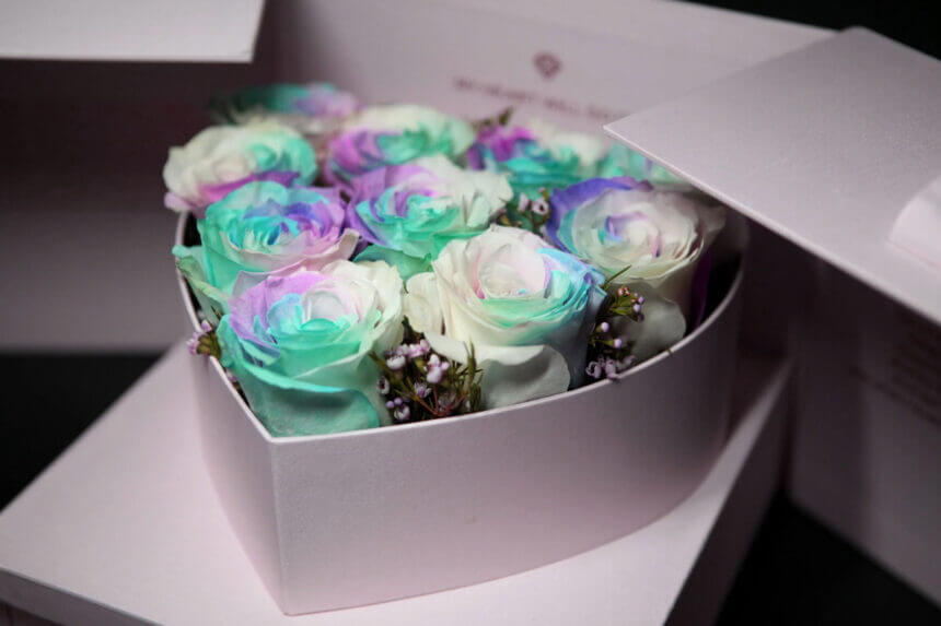 Rosboxar Swedish preserved rose boxes in elegant gift packaging with long-lasting roses