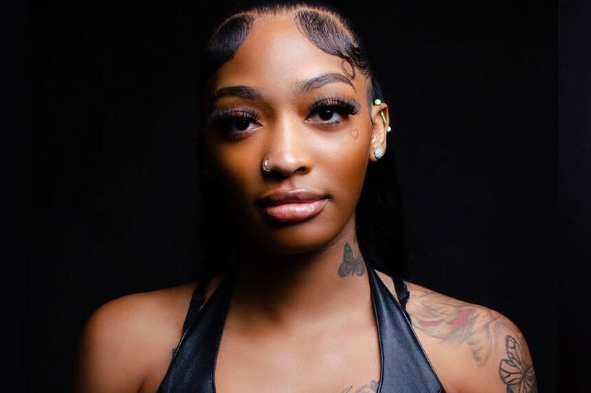 Aiesys Mial net worth breakdown showing TikTok and Instagram earnings for 2025