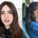 The Bee Family net worth breakdown showing YouTube earnings and revenue streams from content creation