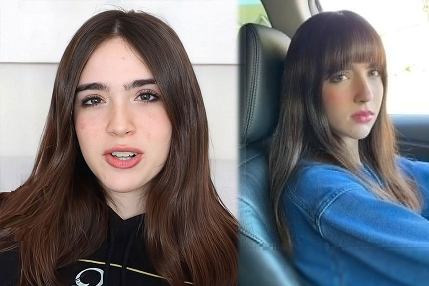 The Bee Family net worth breakdown showing YouTube earnings and revenue streams from content creation